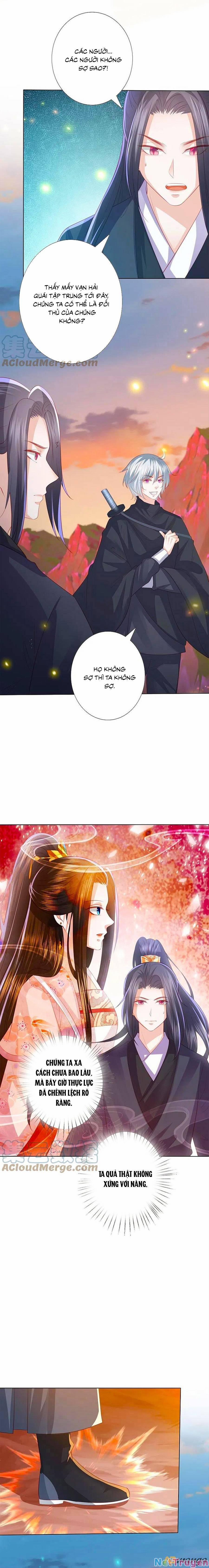 Phượng Hoàng Thác: Chuyên Sủng Khí Thê 244 trang 1