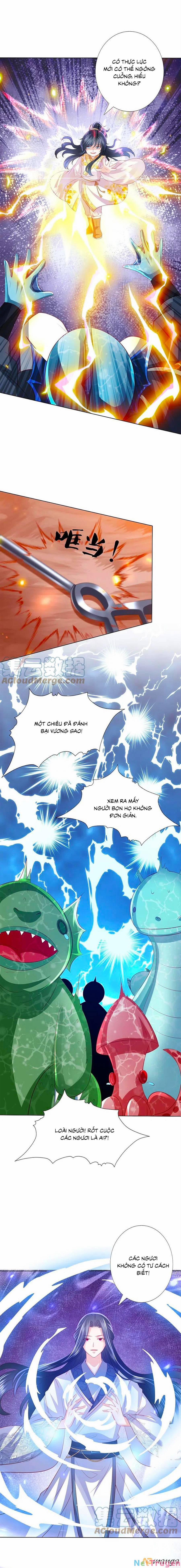 Phượng Hoàng Thác: Chuyên Sủng Khí Thê 244 trang 4