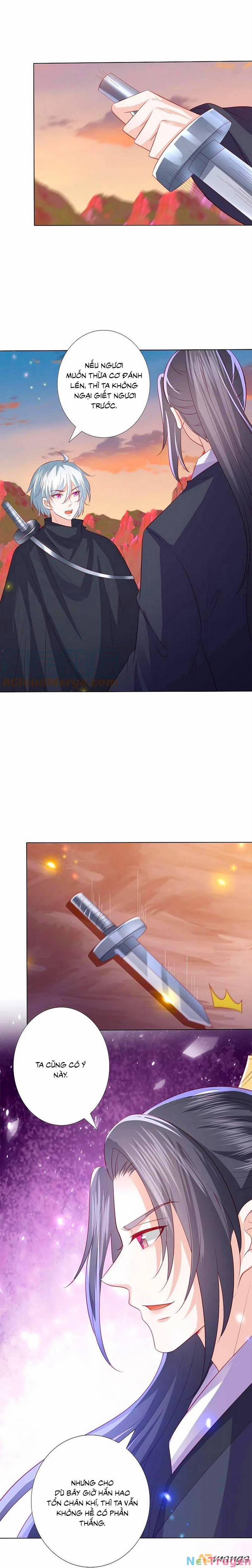 Phượng Hoàng Thác: Chuyên Sủng Khí Thê 244 trang 7