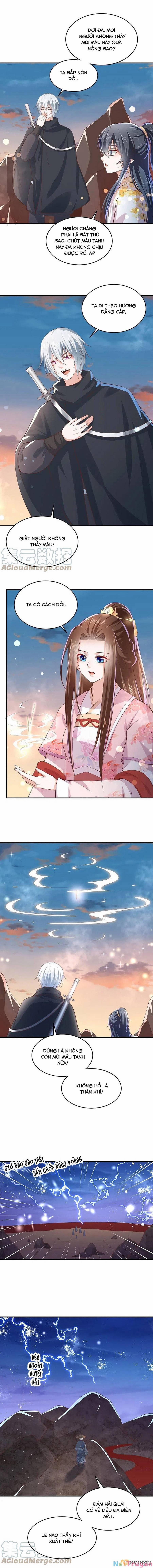 Phượng Hoàng Thác: Chuyên Sủng Khí Thê 245 trang 0