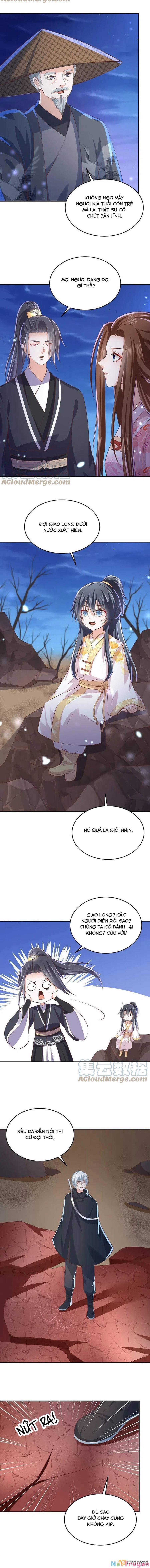 Phượng Hoàng Thác: Chuyên Sủng Khí Thê 245 trang 1