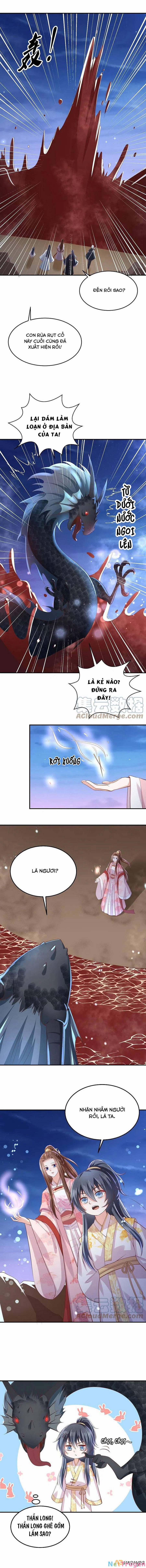 Phượng Hoàng Thác: Chuyên Sủng Khí Thê 245 trang 2