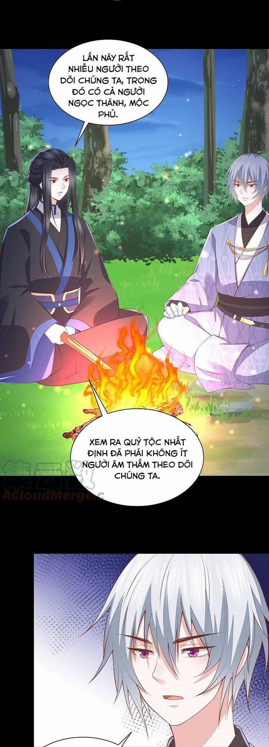 Phượng Hoàng Thác: Chuyên Sủng Khí Thê 255 trang 15