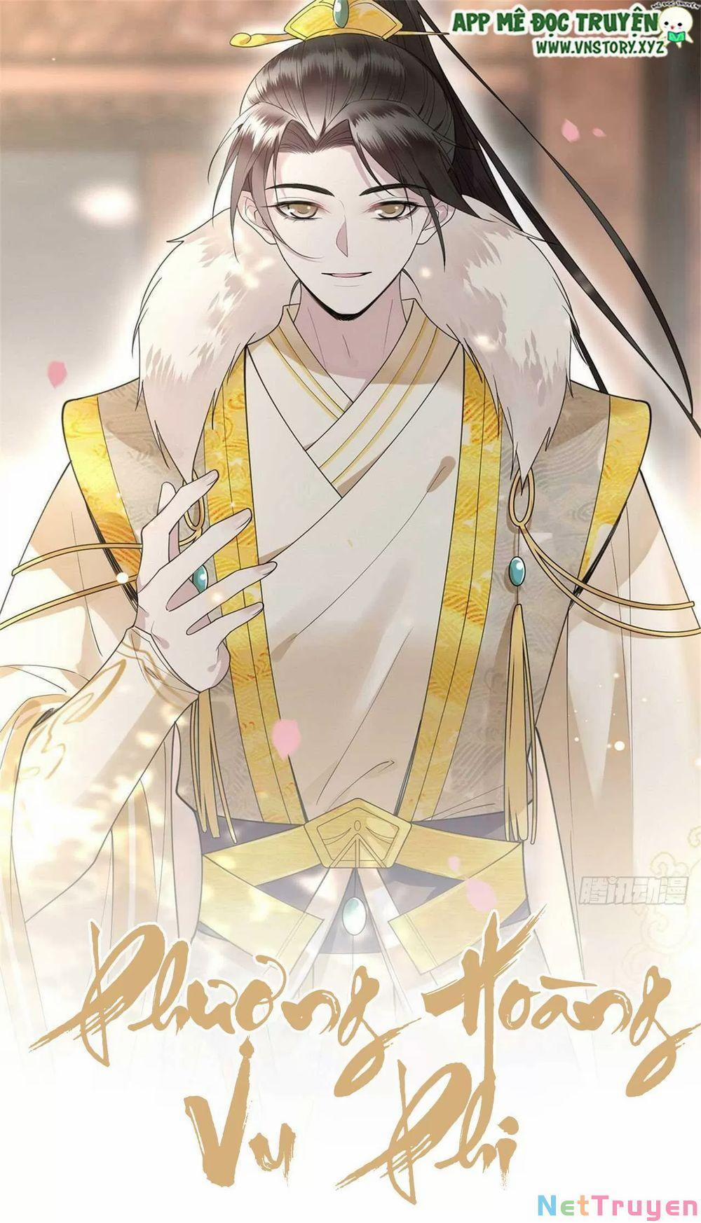 Phượng Hoàng Vu Phi 0 Con cưới được phu nhân rất tốt trang 0