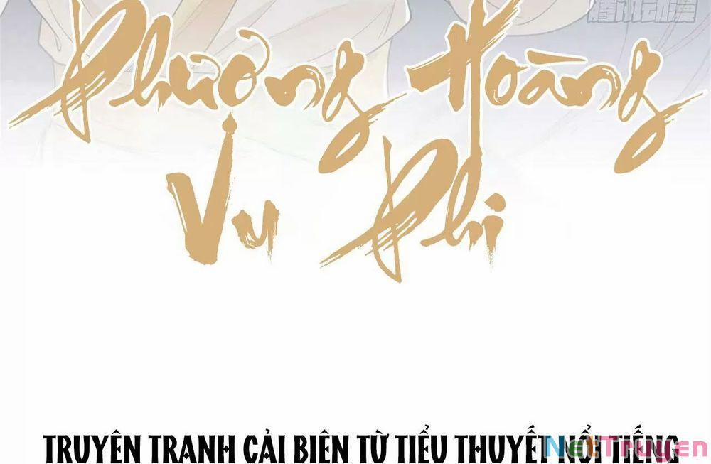 Phượng Hoàng Vu Phi 0 Đều là phế vật trang 1