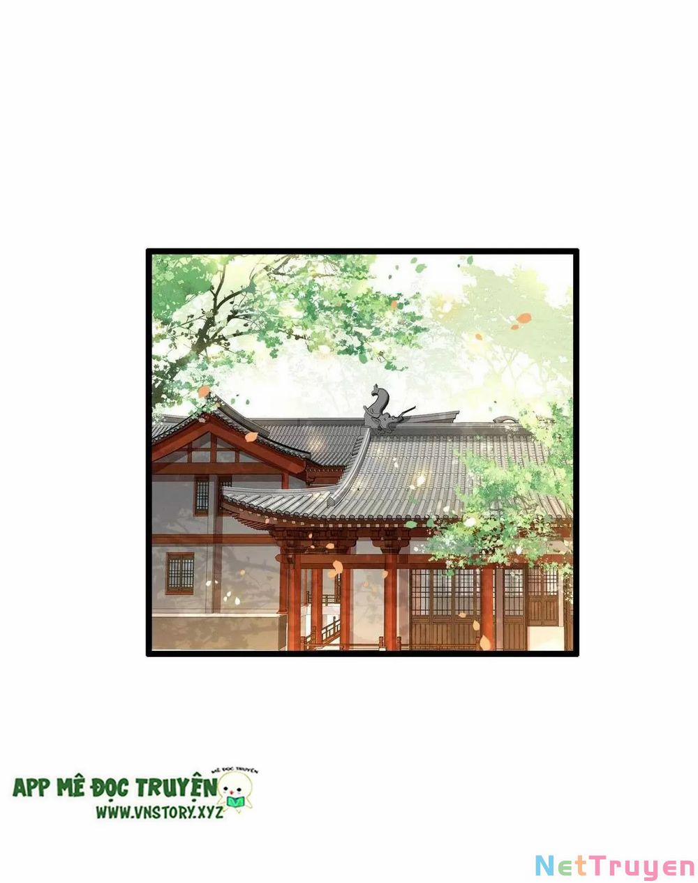 Phượng Hoàng Vu Phi 101 trang 22