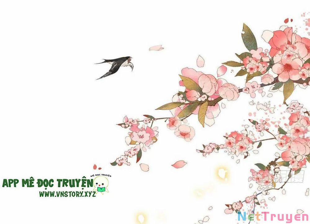 Phượng Hoàng Vu Phi 102 trang 8