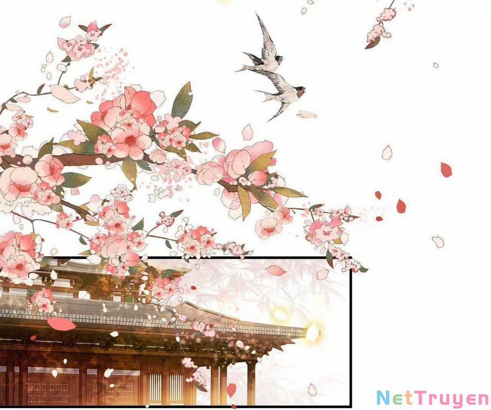 Phượng Hoàng Vu Phi 102 trang 9