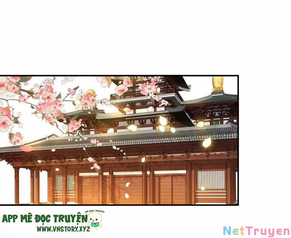 Phượng Hoàng Vu Phi 103 trang 21