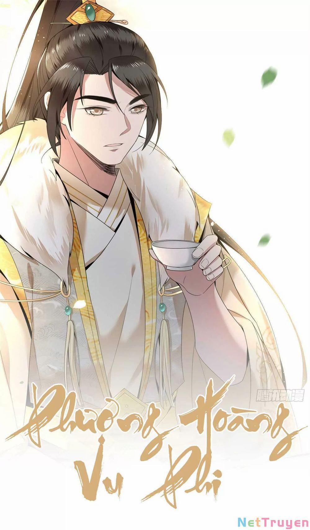 Phượng Hoàng Vu Phi 104 trang 0