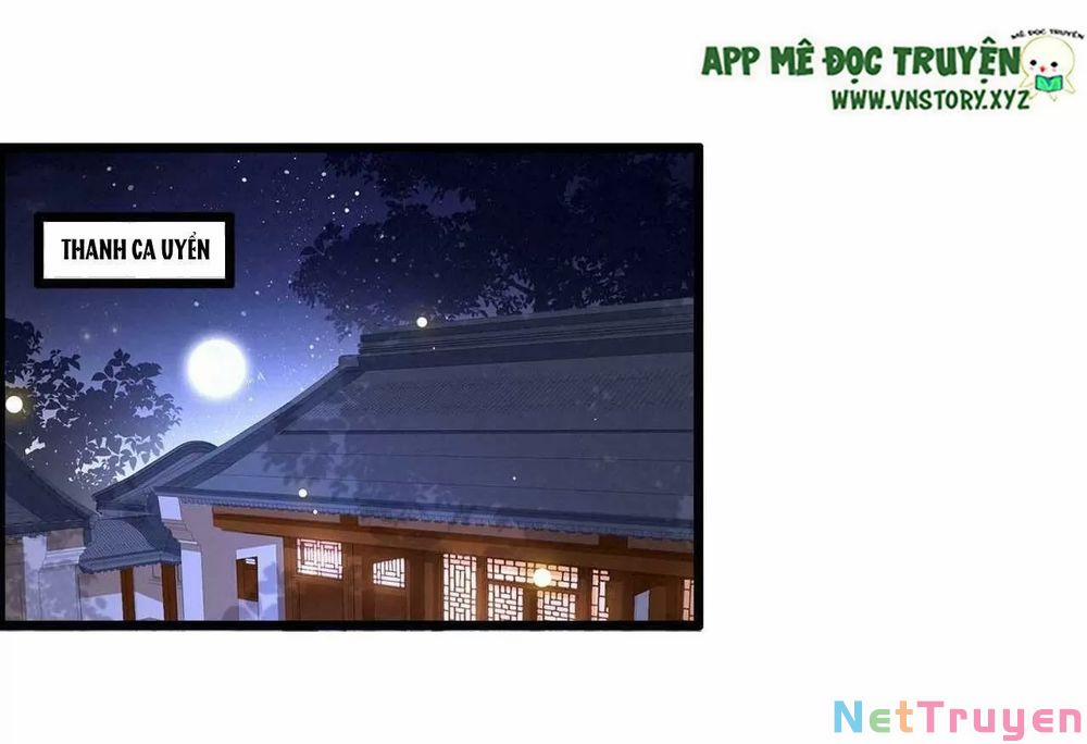 Phượng Hoàng Vu Phi 104 trang 17