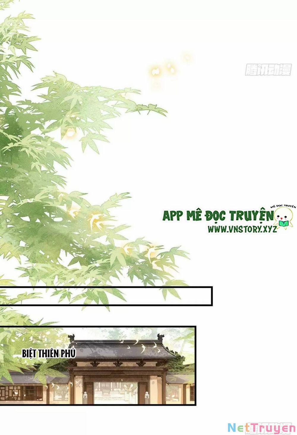 Phượng Hoàng Vu Phi 117 trang 19