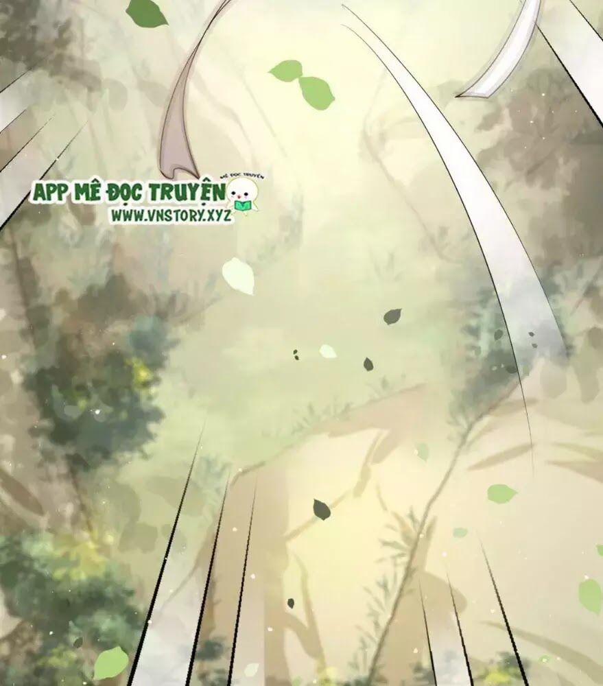 Phượng Hoàng Vu Phi 2 trang 51