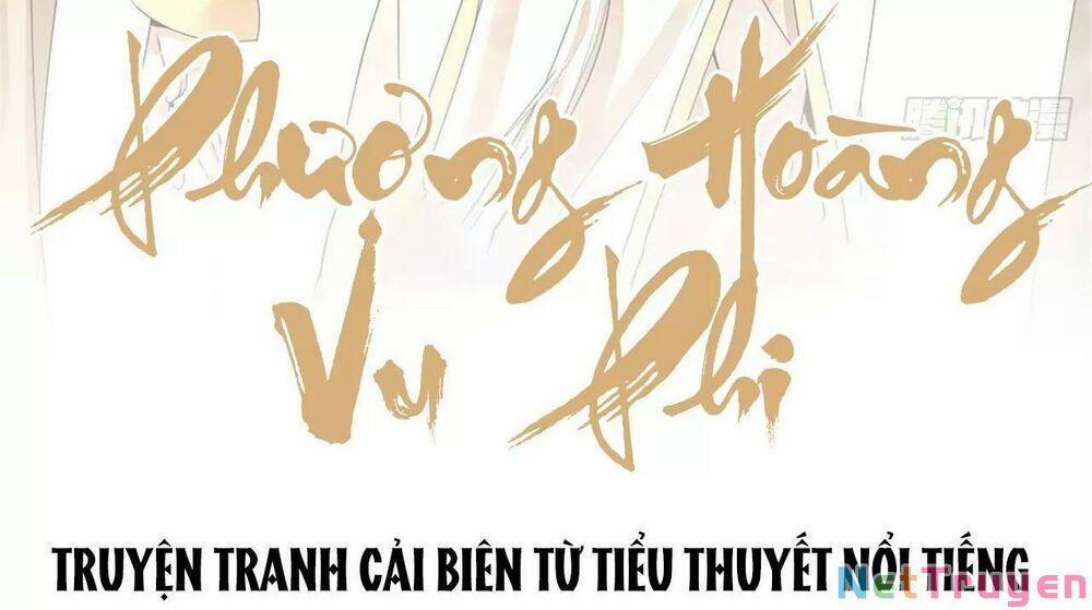 Phượng Hoàng Vu Phi 93 trang 1