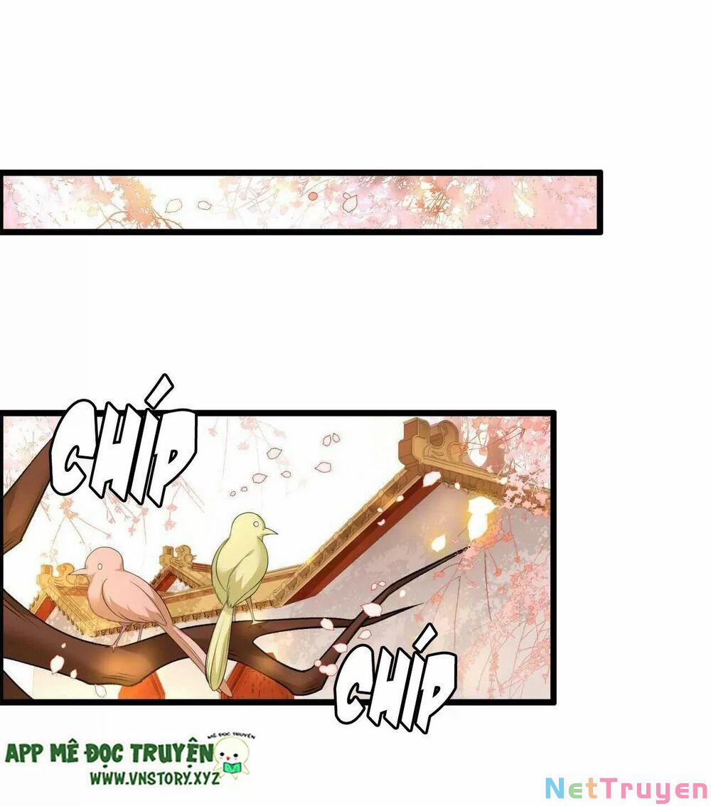 Phượng Hoàng Vu Phi 96 trang 18