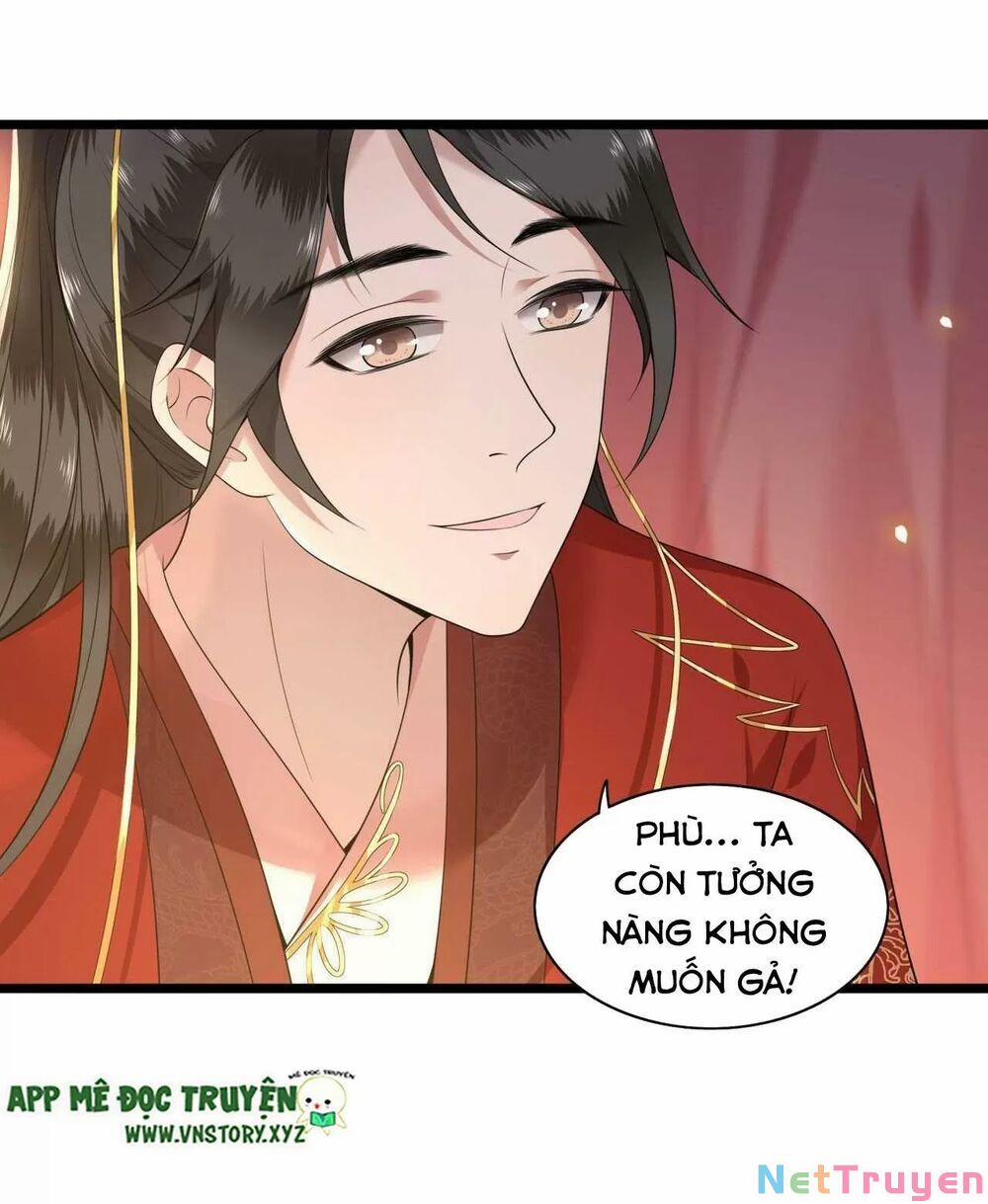 Phượng Hoàng Vu Phi 96 trang 3
