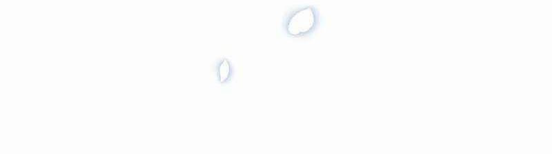 Phương Pháp Sinh Tồn Của Rồng Sắp Ngủm 37 trang 319