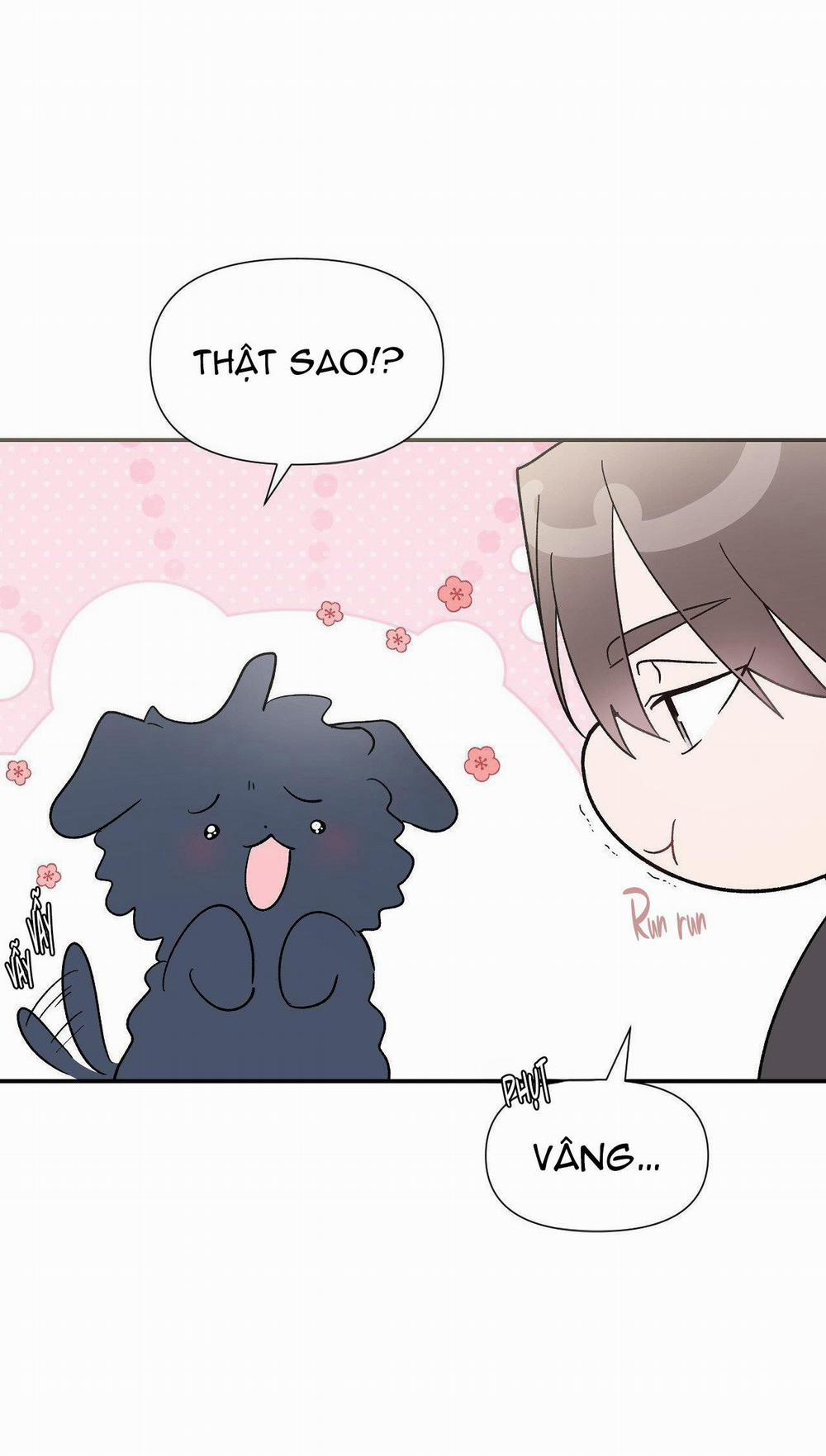 Pit-A-Pat 6 trang 17