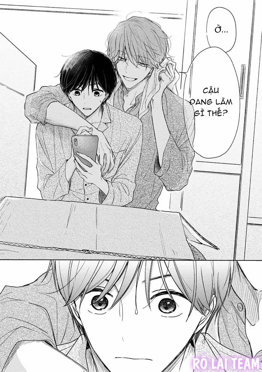 Pittosporum-Shino Makami 1 trang 13