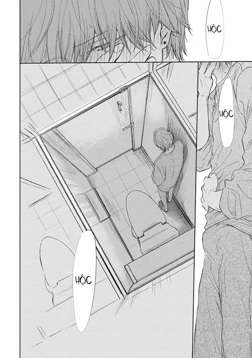 Pittosporum-Shino Makami 1 trang 36