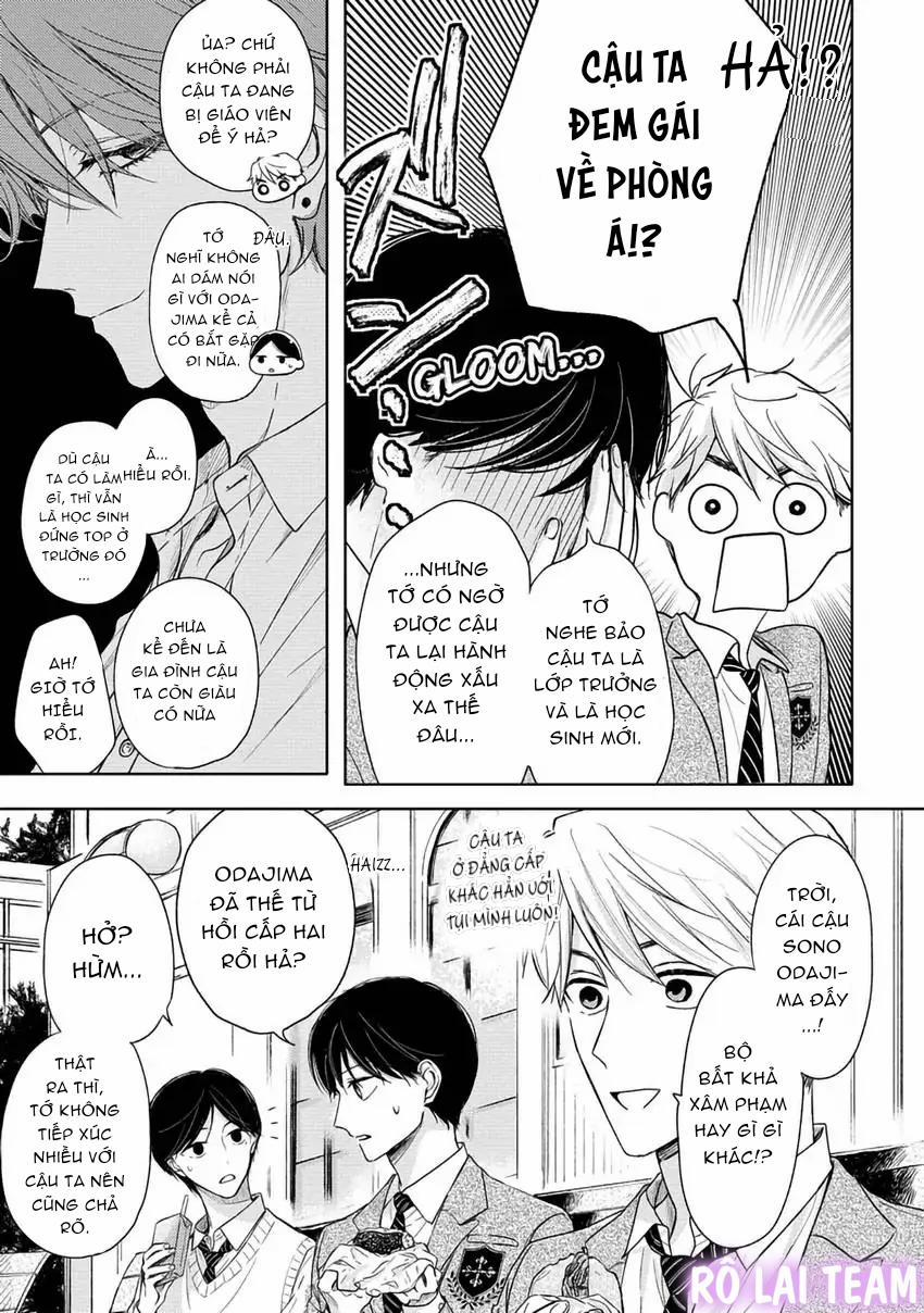 Pittosporum-Shino Makami 1 trang 5