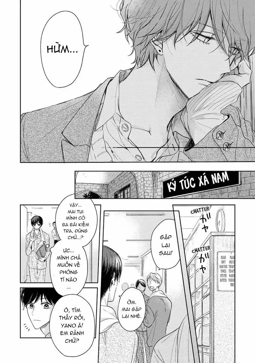 Pittosporum-Shino Makami 1 trang 8