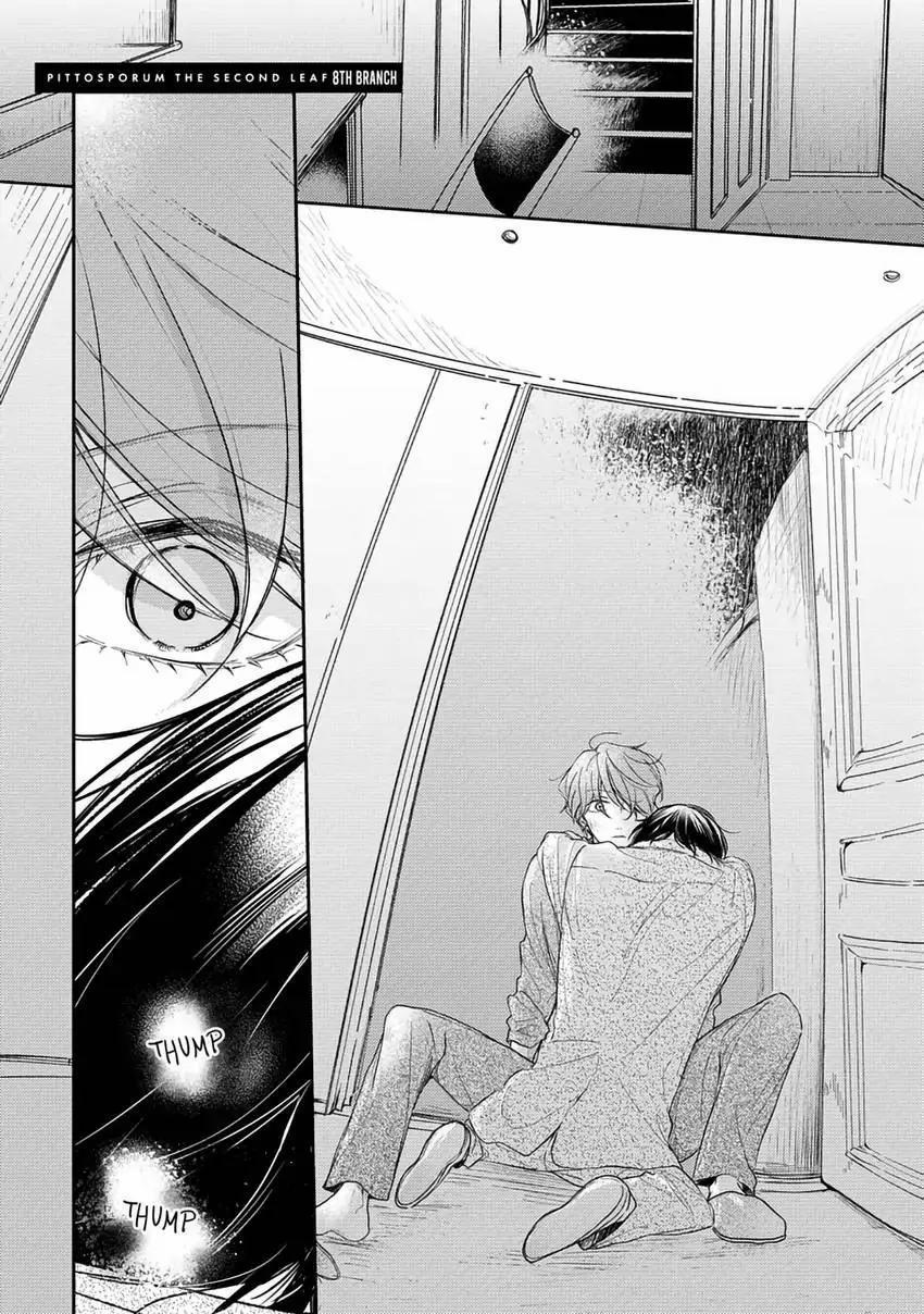 Pittosporum-Shino Makami 11 trang 1