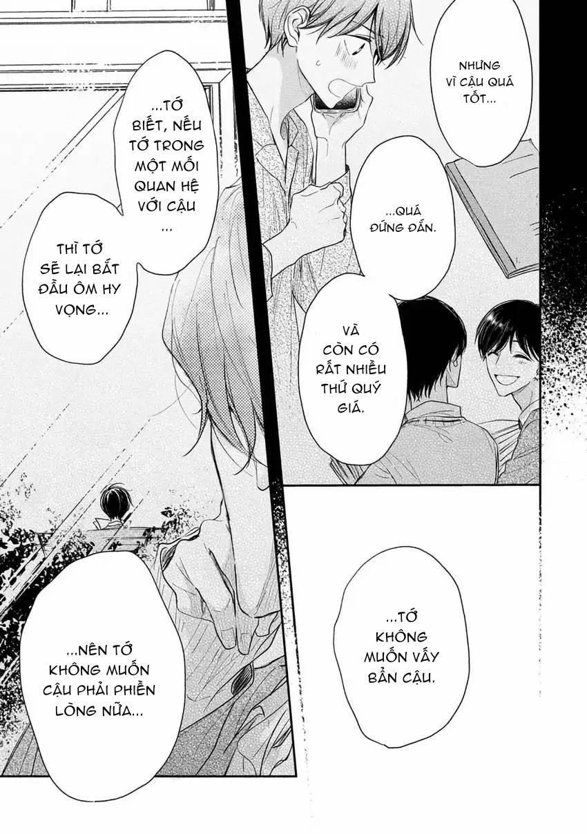 Pittosporum-Shino Makami 11 trang 15