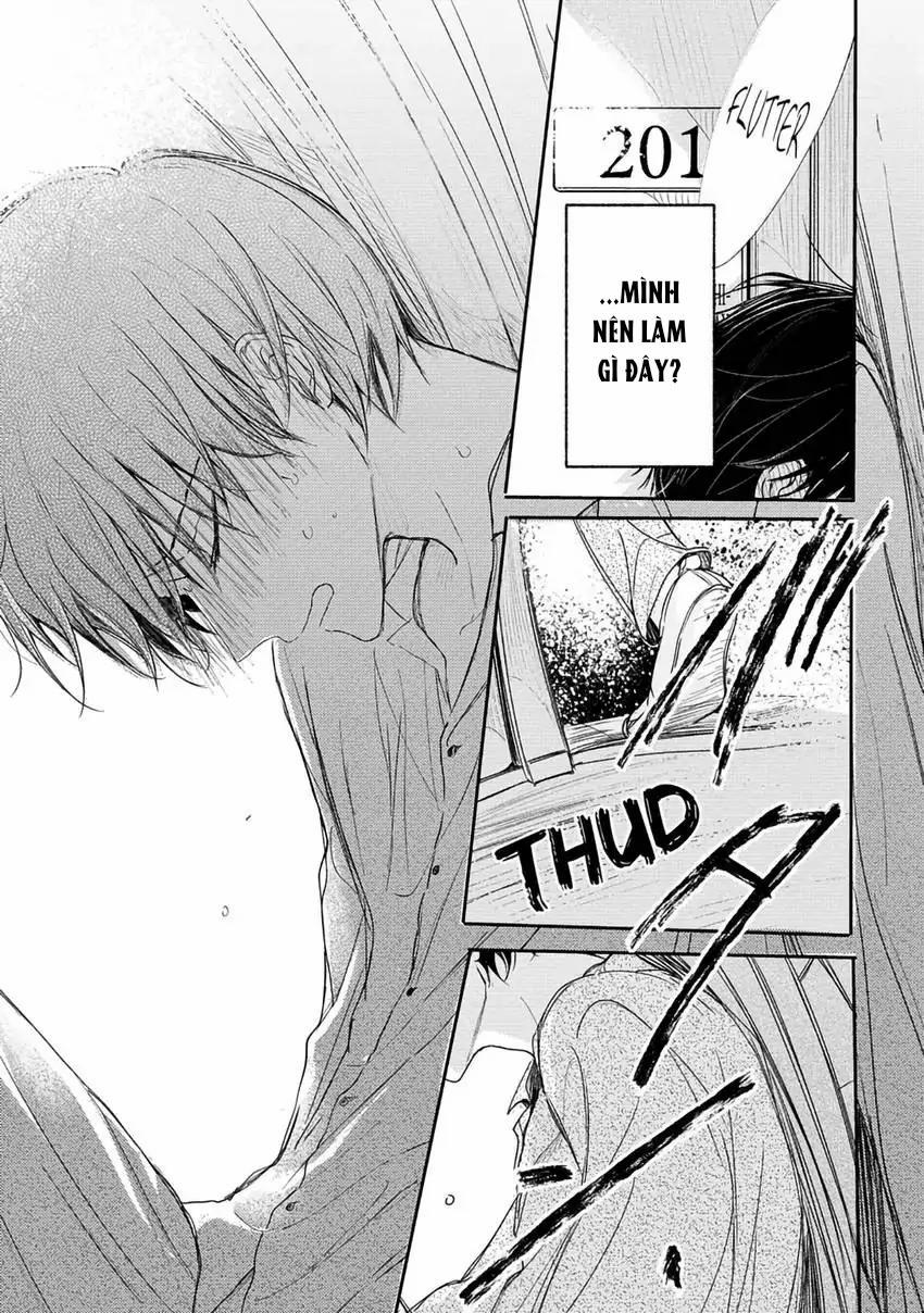 Pittosporum-Shino Makami 11 trang 33