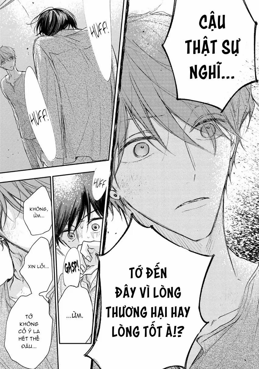 Pittosporum-Shino Makami 11 trang 9