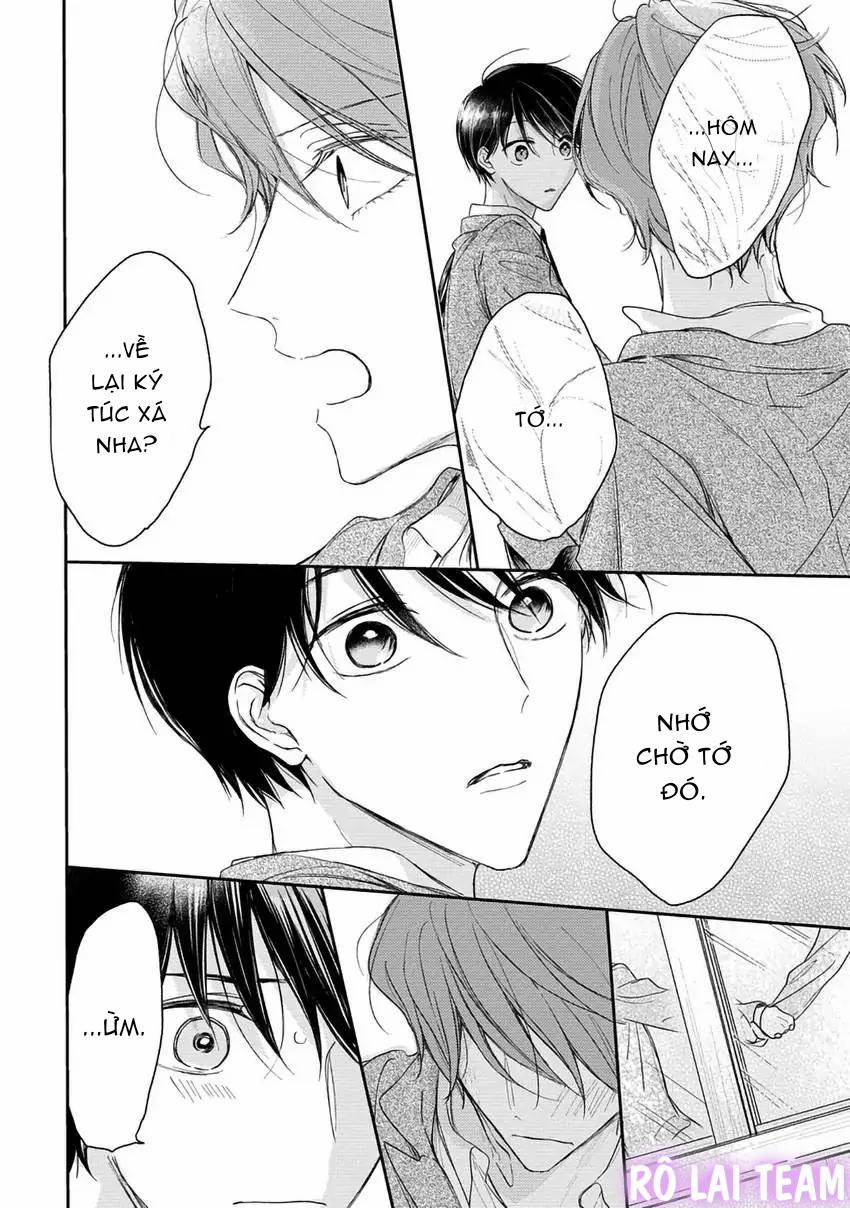 Pittosporum-Shino Makami 12 trang 10