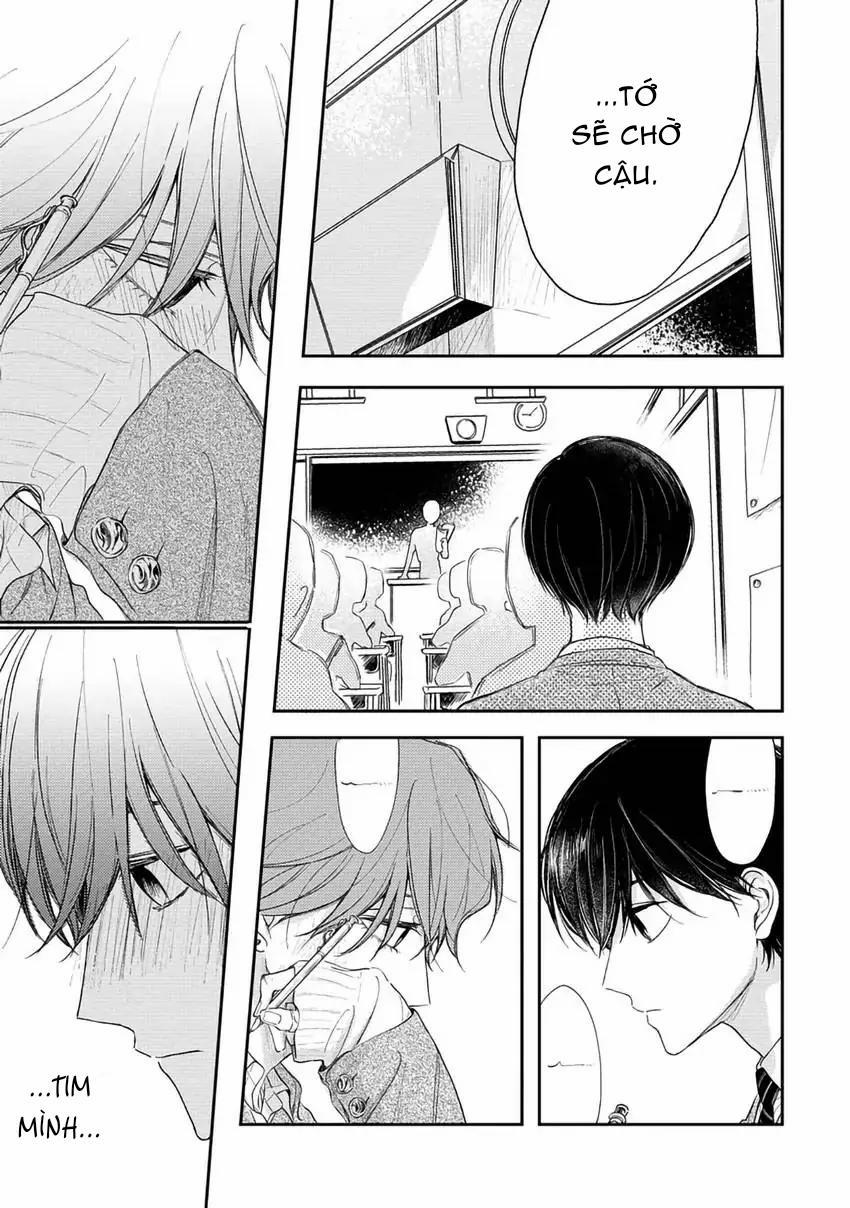 Pittosporum-Shino Makami 12 trang 11