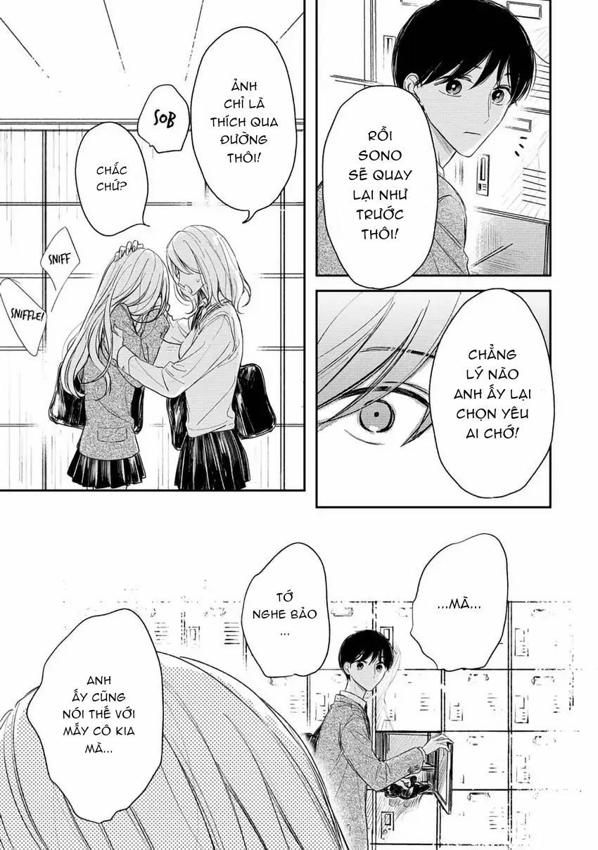 Pittosporum-Shino Makami 12 trang 15