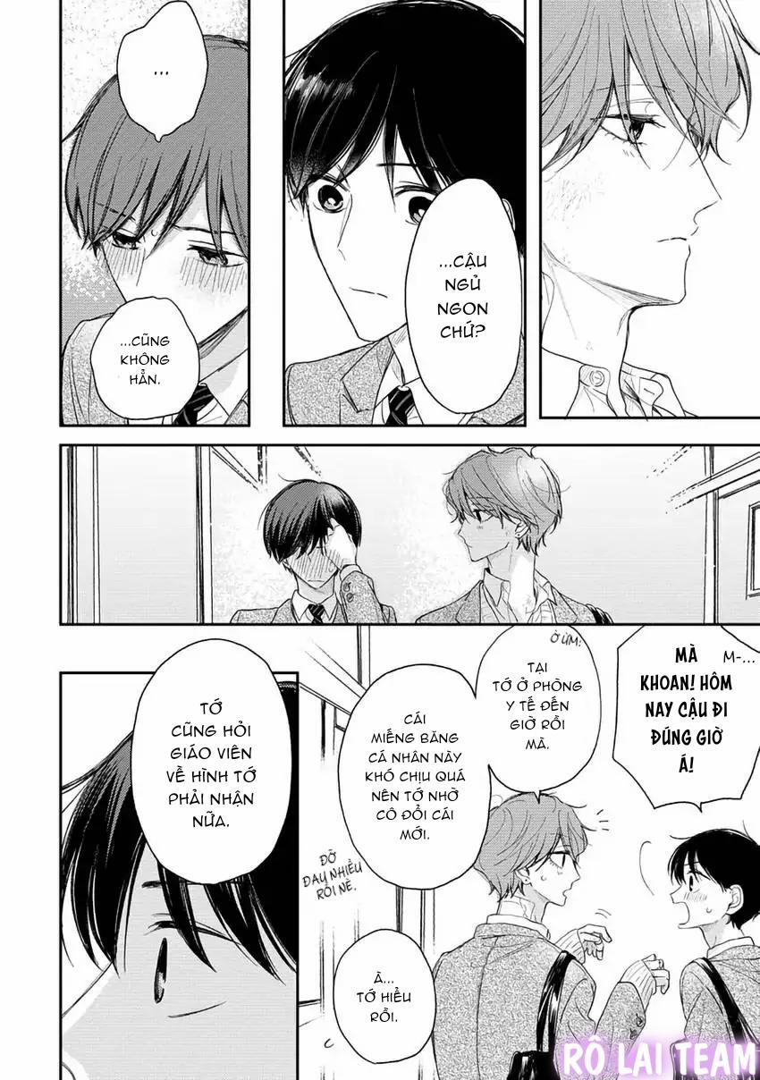 Pittosporum-Shino Makami 12 trang 4