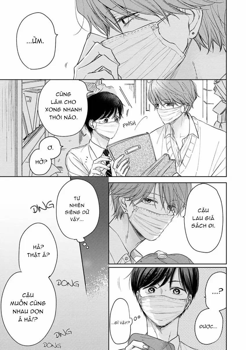 Pittosporum-Shino Makami 2 trang 10