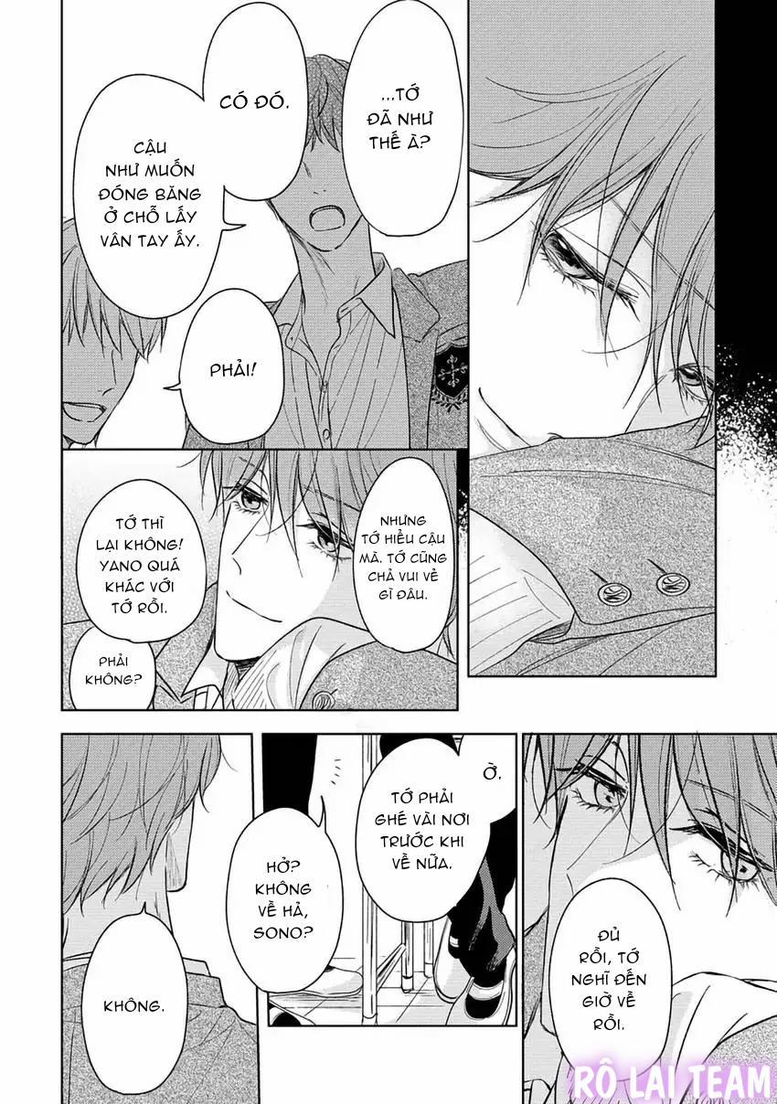 Pittosporum-Shino Makami 2 trang 13