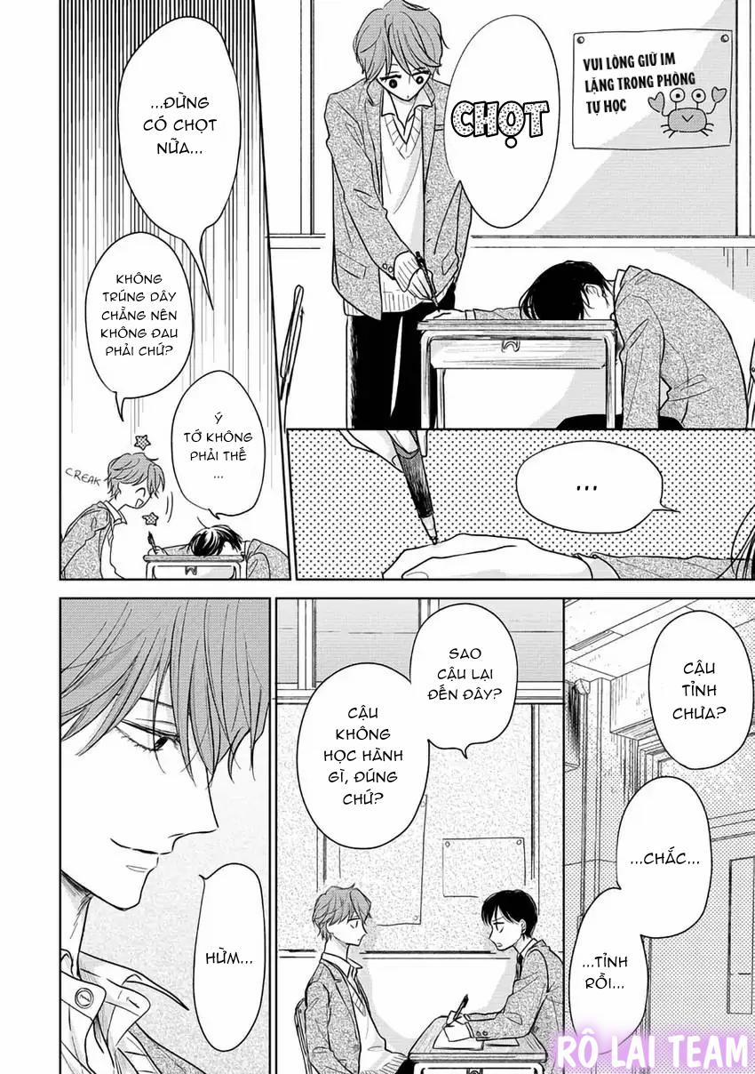 Pittosporum-Shino Makami 2 trang 15