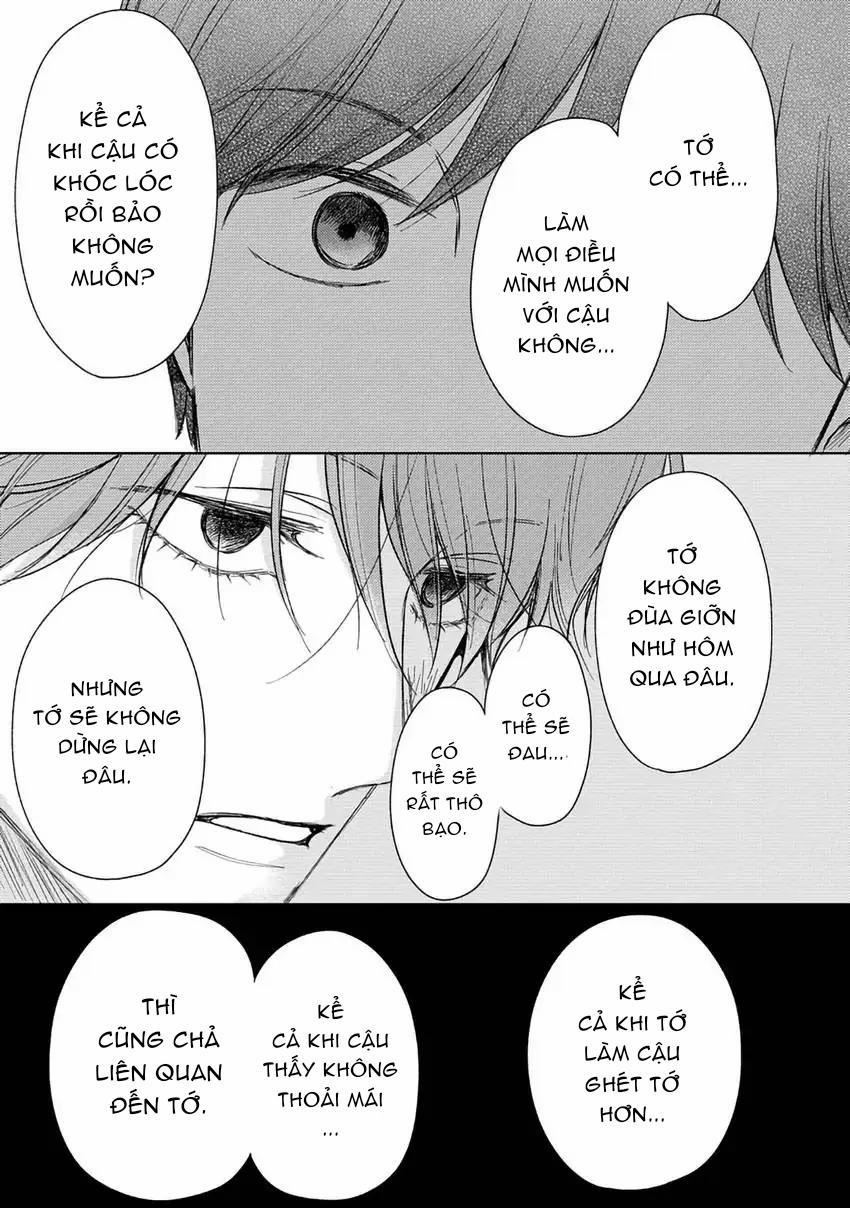 Pittosporum-Shino Makami 2 trang 28