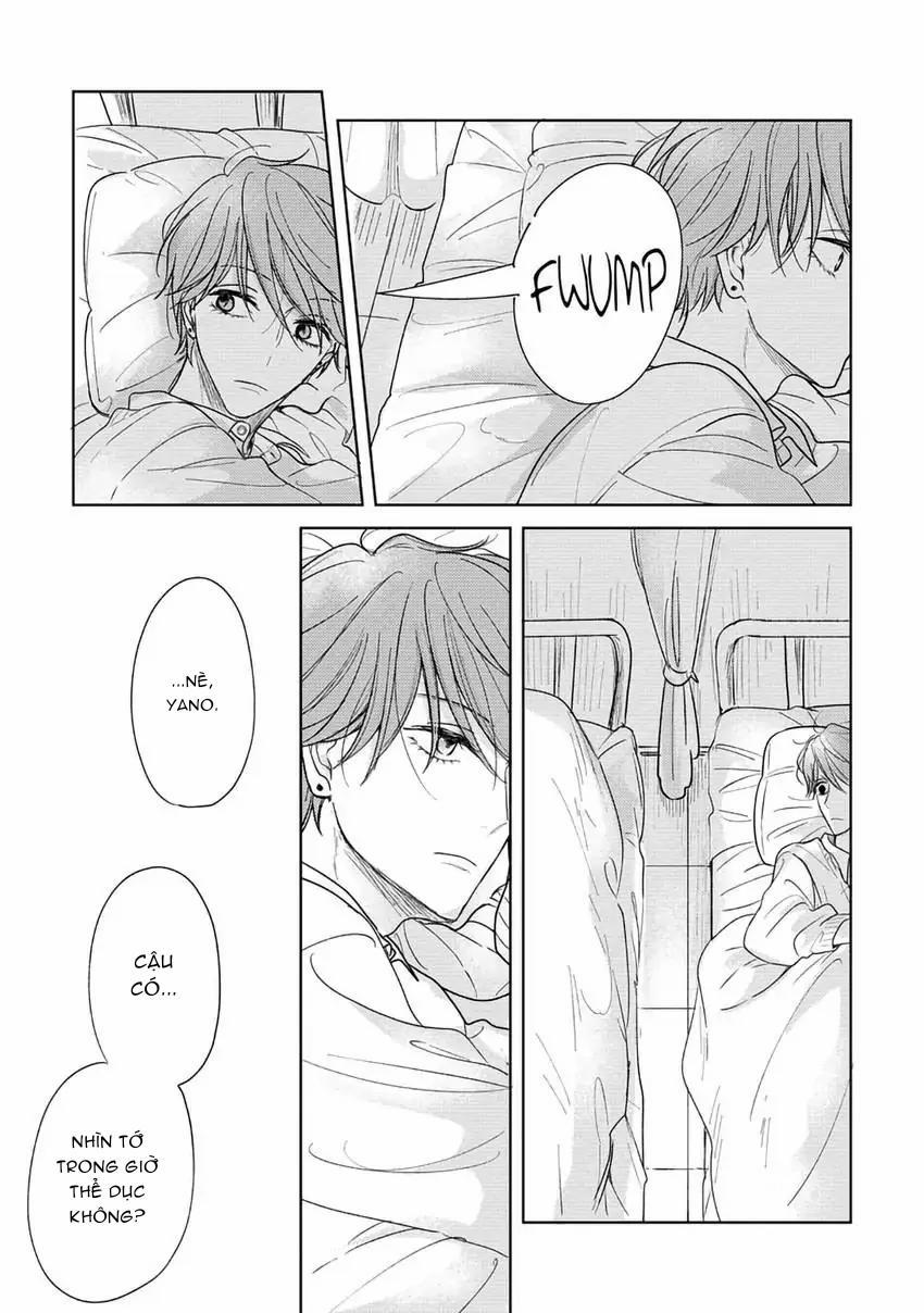 Pittosporum-Shino Makami 3 trang 10