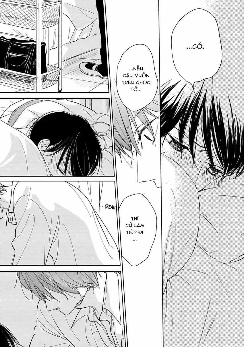 Pittosporum-Shino Makami 3 trang 14