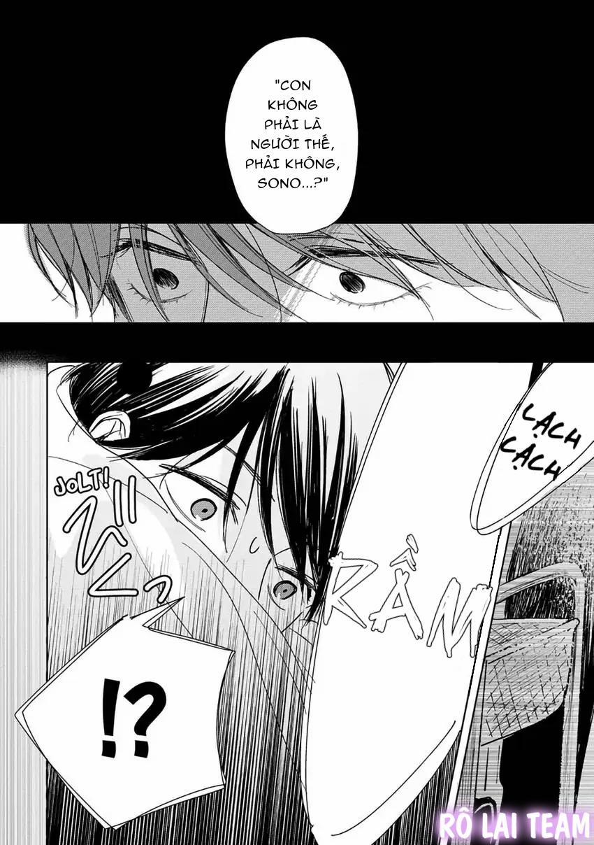 Pittosporum-Shino Makami 3 trang 15