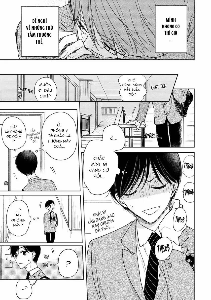 Pittosporum-Shino Makami 3 trang 6