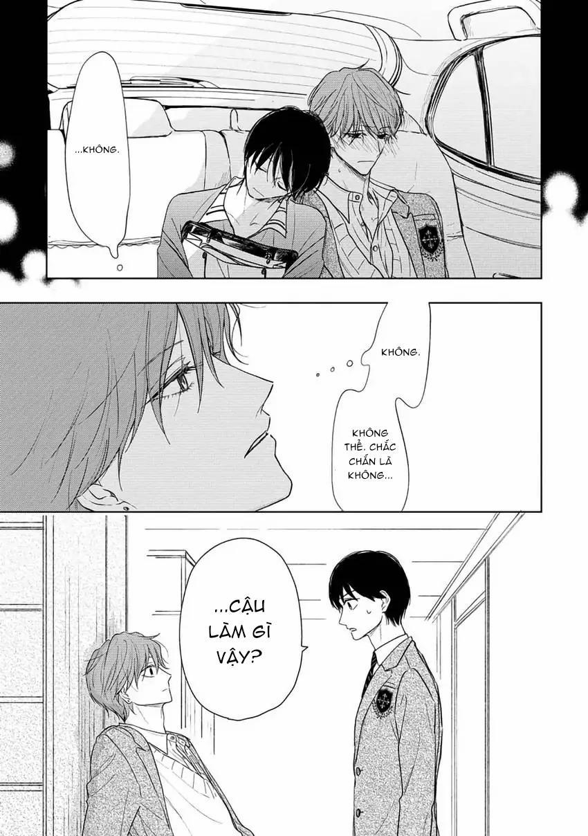 Pittosporum-Shino Makami 4 trang 22