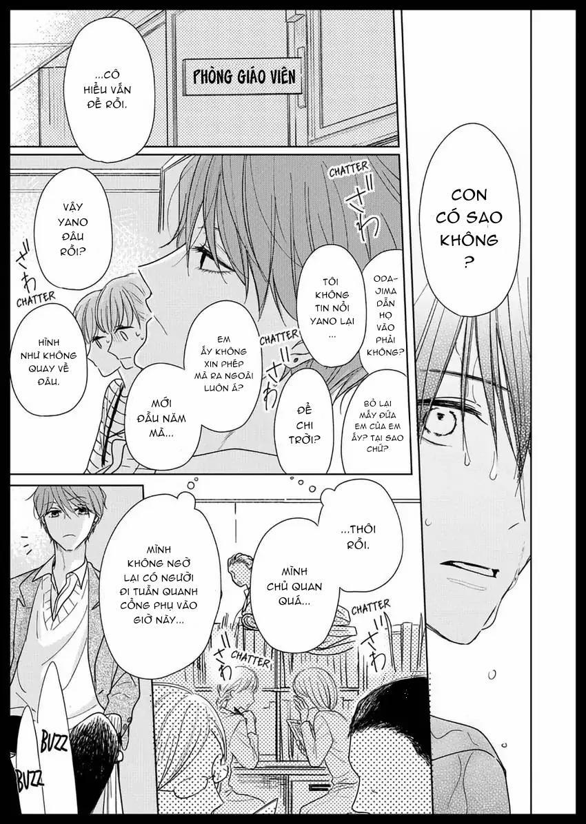 Pittosporum-Shino Makami 4 trang 4