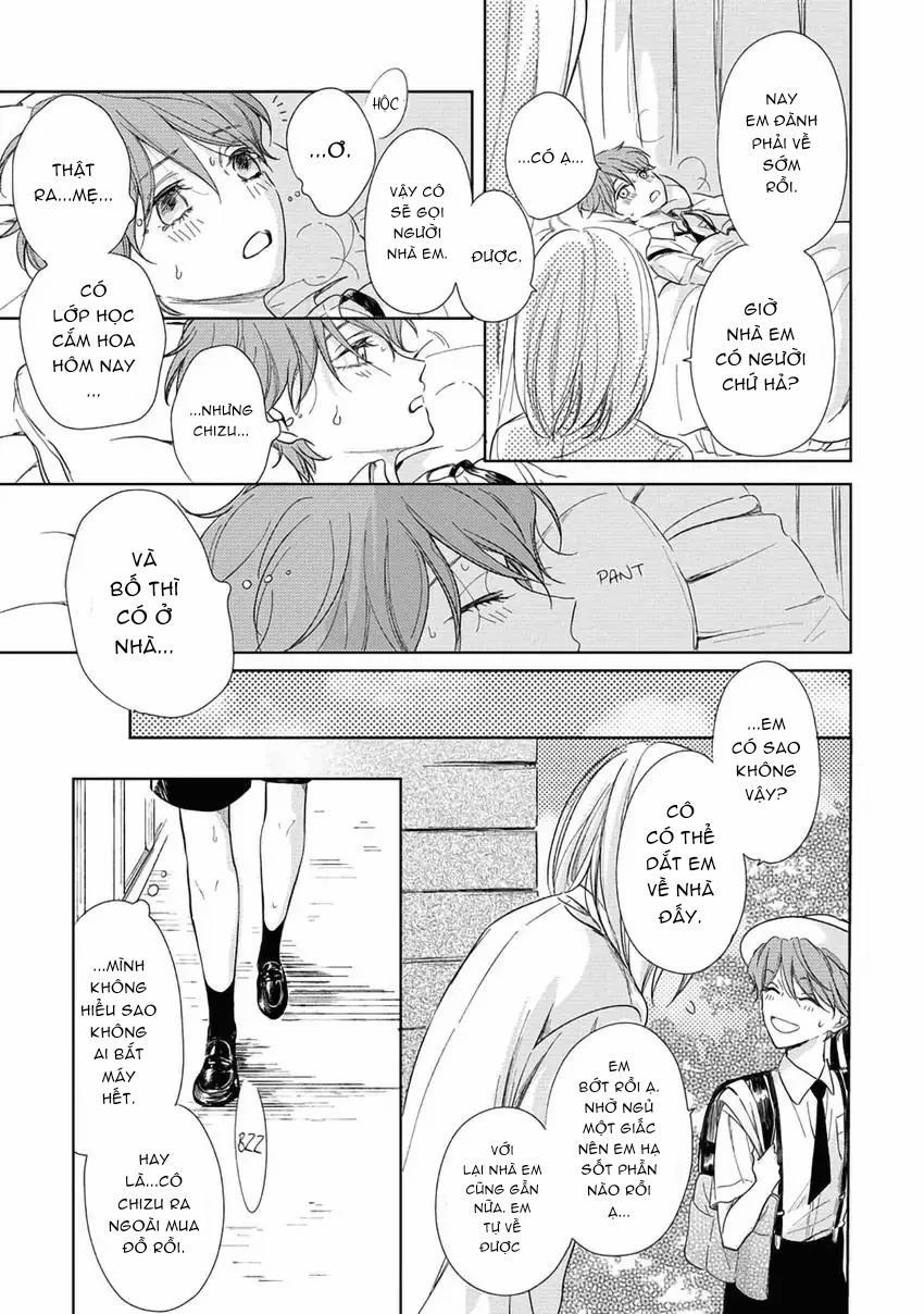 Pittosporum-Shino Makami 5 trang 12