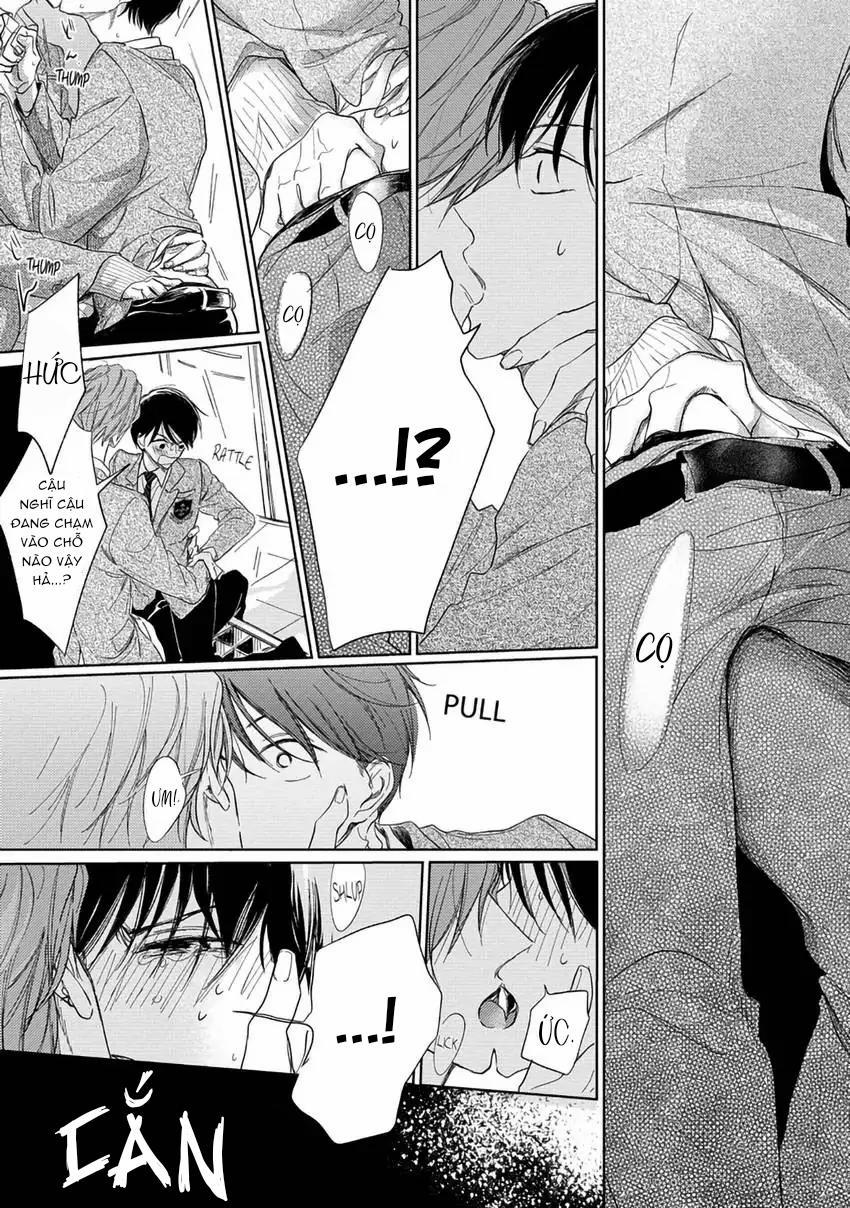 Pittosporum-Shino Makami 5 trang 2