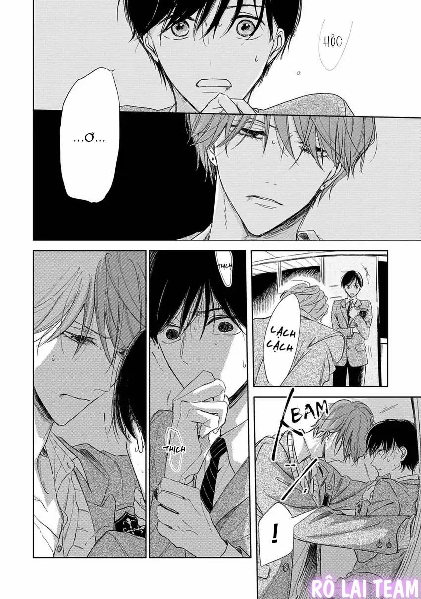 Pittosporum-Shino Makami 5 trang 3