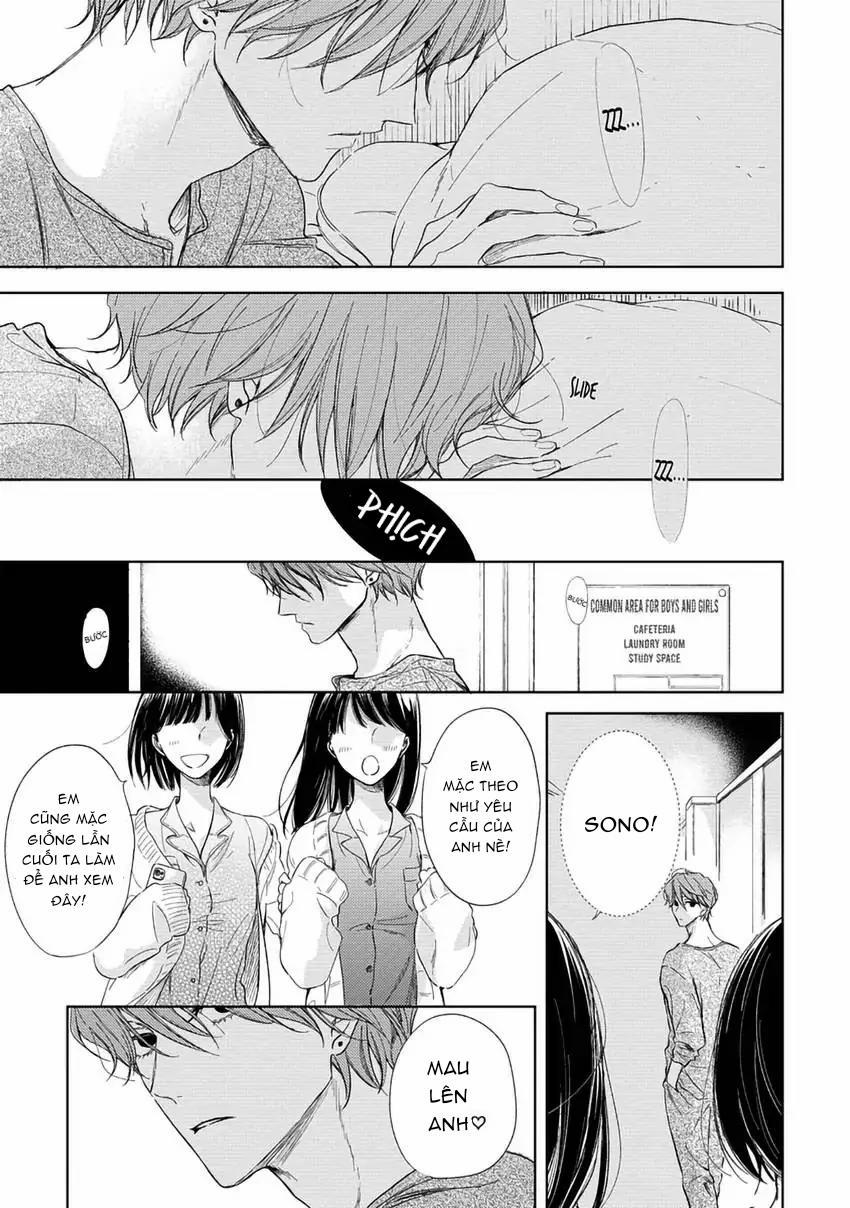 Pittosporum-Shino Makami 5 trang 6