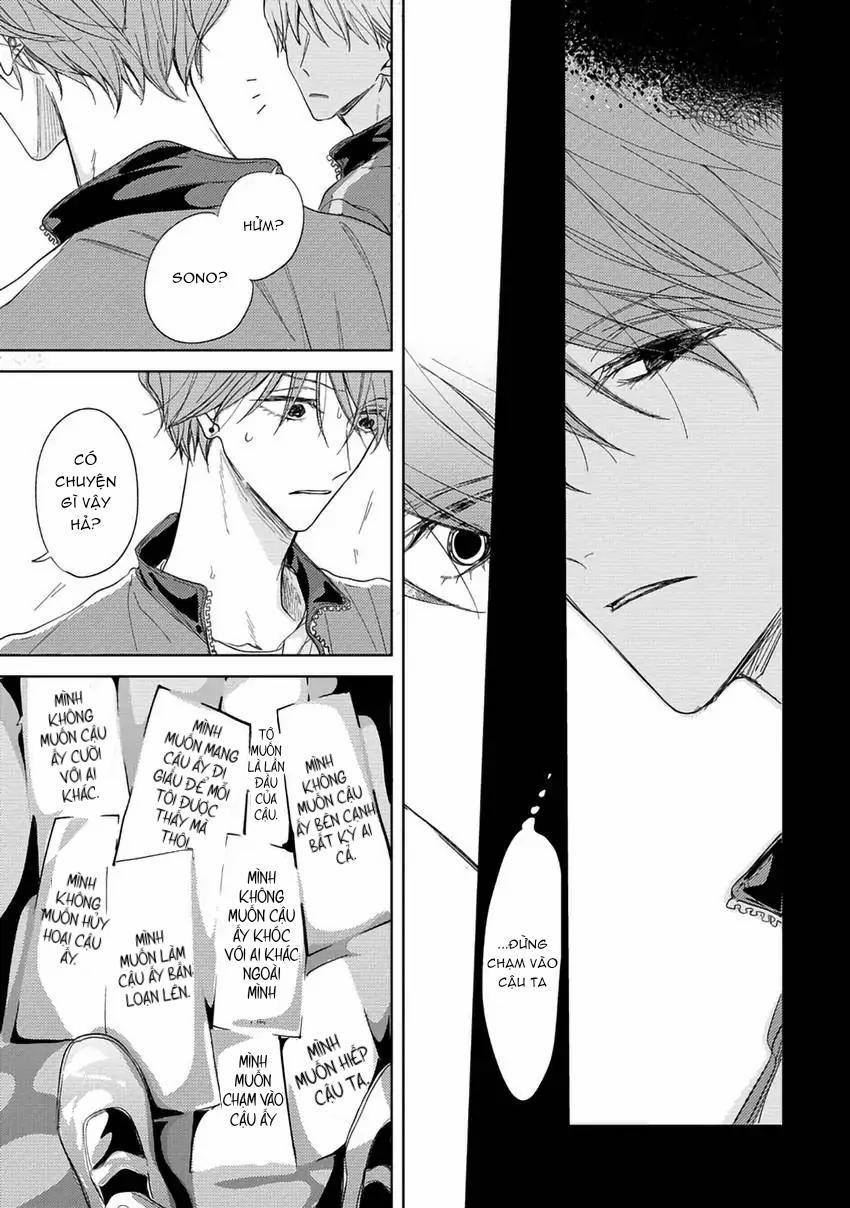 Pittosporum-Shino Makami 6 trang 14