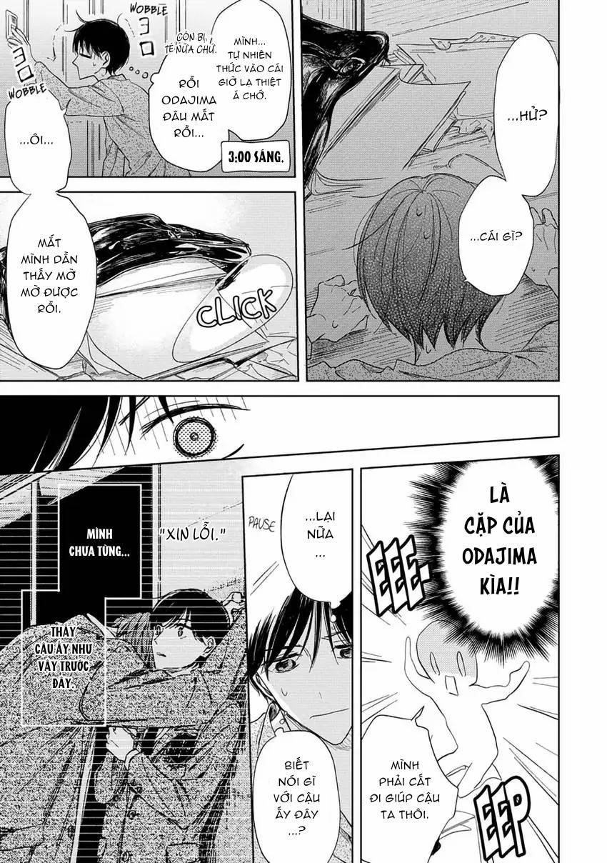 Pittosporum-Shino Makami 6 trang 18